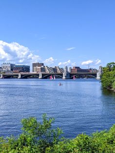 a body of water surrounded by trees and buildings