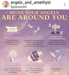 Spirit Guide Signs, Taylor Paige, Guardian Angels Prayer, Healing Angels, Chakra Affirmations, Spiritual Stuff