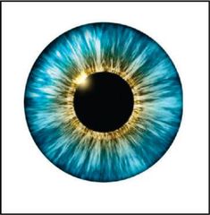 an eye with blue and yellow colors