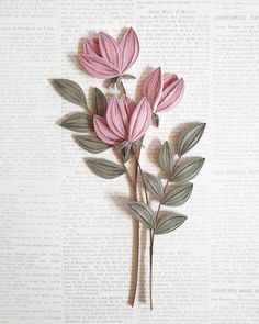 three pink flowers with green leaves on top of an old book page