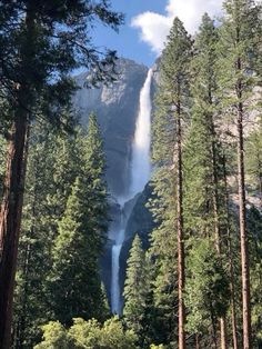 a tall waterfall towering over a forest filled with lots of trees on a sunny day