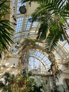 the inside of a building with many windows and plants hanging from it's ceiling