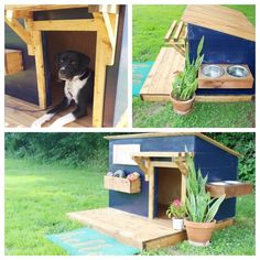 the dog house is built into the grass and has plants growing out of it's sides