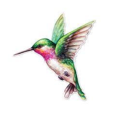 a hummingbird flying in the air with its wings spread