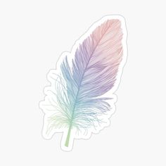 a colorful feather sticker on a white background