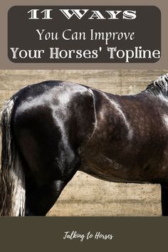 a black horse with the words 11 ways you can improve your horses'topline