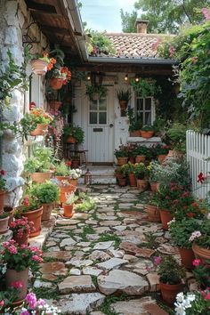 a stone path with potted plants and flowers on either side of the house door