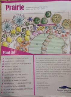 the front page of a magazine about plants