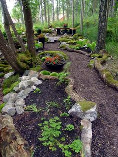 a garden area with rocks and plants in the center, surrounded by trees on both sides