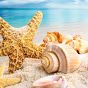 3d Diamond, Diamond Embroidery, Sea Star, Diy Diamond Painting, Conch, Diamond Painting, Money, Embroidery, Square