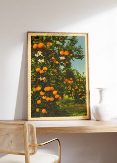 an orange tree with lots of ripe oranges hanging from it's branches in front of a white vase