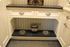 a kitchen with two bowls on the counter and a dog bowl under the sink in front of it