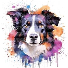 a watercolor painting of a dog's face