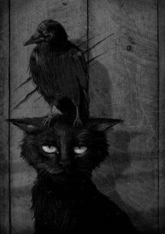 a black cat sitting next to a crow on top of it's head