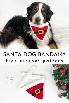 a dog wearing a santa hat and scarf with the words santa dog bandana free crochet pattern