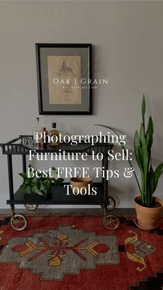 a plant sitting on top of a rug next to a potted plant