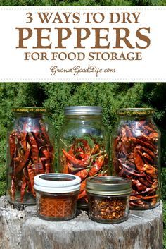 jars filled with food sitting on top of a tree stump