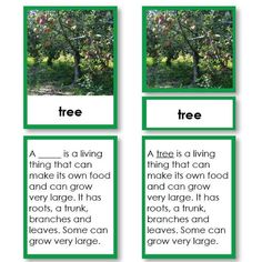 three cards with trees and words on them that describe the different parts of an apple tree