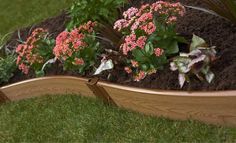 a wooden planter filled with lots of flowers on top of green grass covered ground