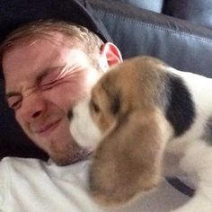 a man laying on top of a couch next to a brown and white puppy wearing a hat