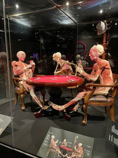 three skeletons playing cards at a table in a glass case