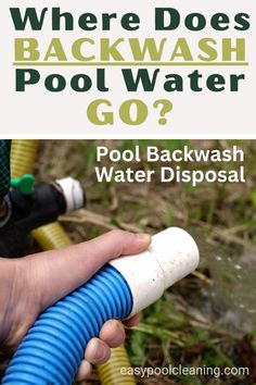 When swimming season is in full swing, pool owners will be backwashing filters frequently. However, did you know this backwash water can't go just anywhere due to environmental rules? Get insights on typical techniques for properly treating and releasing backwashed pool water. Follow the guidelines here to direct greywater to approved areas and keep your pool sparkling without polluting local watersheds. Steel Pool, Pool Care, Sewer System, Swimming Pool Water, Equipment Storage, Pool Maintenance, Water Management, Water Wise, Pool Equipment