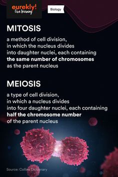 an info sheet describing different types of medical devices