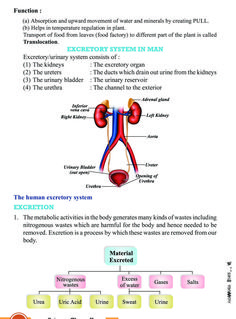 an image of the human body and its functions in each section of the diagram,