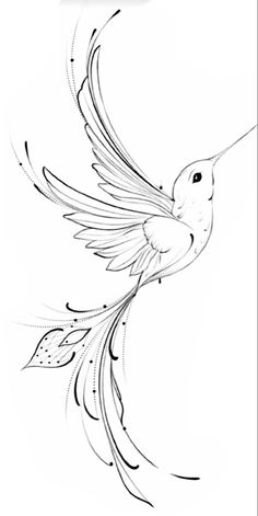 a drawing of a hummingbird flying in the air