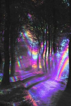 the sun shines brightly through the trees in this colorful forest with rainbow colored lights