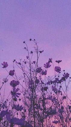 the sky is purple and pink with flowers in it