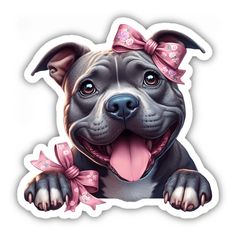 Happy Pitbull Wrapped in Bows Bully Blue, Baby Bulldog, Gorgeous Animals, Automobile Advertising, Happy Birthday Wishes Images, Birthday Wishes And Images, Pitbull Puppy