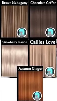 the different shades of hair are shown in this graphic style, including brown and caramel