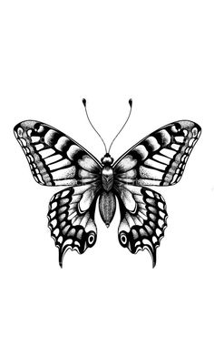 a black and white drawing of a butterfly