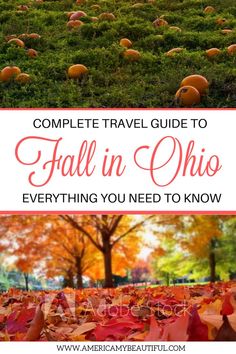 pumpkins in the grass with text overlay reading complete travel guide to fall in ohio everything you need to know