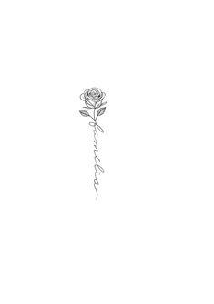 a drawing of a rose with the word love written in cursive writing on it