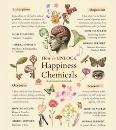 Happiness Chemicals, Ayurveda Life, Medical Herbs, Magic Herbs, Herbs Garden, Healing Spirituality, Energy Healing Spirituality, Herbal Healing, Herbal Magic