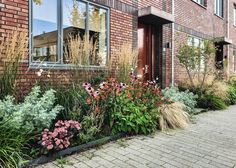 a brick building with lots of plants and flowers