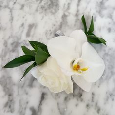 two white flowers sitting on top of a marble surface