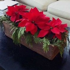 the poinsettis are sitting on the table in the living room