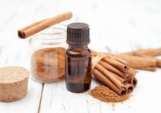 What Smells That Snakes Hate? (Top 5 Scents) Benefits Of Cinnamon, Antibacterial Essential Oils, Anise Oil, Cinnamon Bark Essential Oil, Copaiba Essential Oil, Warm Wine, High Carb Foods, Essential Oils Cleaning, Ginger Essential Oil