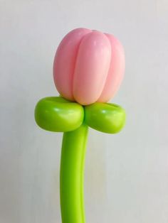 a pink and green balloon flower on a white background with room for text or image