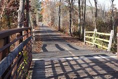 a wooden bridge crossing over a small river in the woods with trees and leaves on both sides