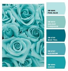 blue and green color scheme with roses