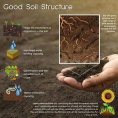 a hand holding soil in front of an image of trees and plants with the words, good soil structure helps the movement of organics in the soil