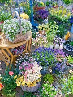 many different types of flowers in pots on a wooden table and some plants growing out of them