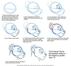 how to draw the lion from disney's live - action movie, simba