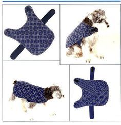 four pictures of a dog wearing a blue tie and bandana on it's head