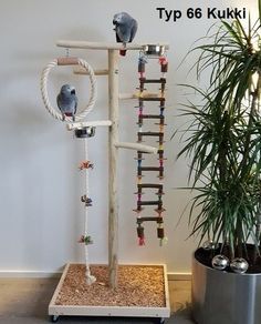 a bird is perched on top of a wooden pole with several rings and beads attached to it