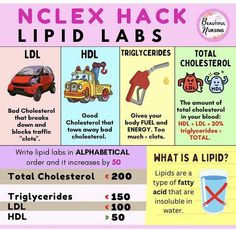 an info sheet describing the different types of lipid labs and what they are used